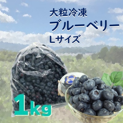 遠野で育った 大粒 冷凍 ブルーベリー Lサイズ 1kg | お礼品詳細