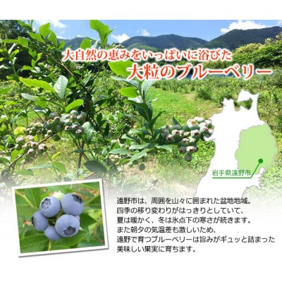 遠野で育った 大粒 冷凍 ブルーベリー Lサイズ 1kg