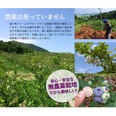 遠野で育った 大粒 冷凍 ブルーベリー Lサイズ 1kg