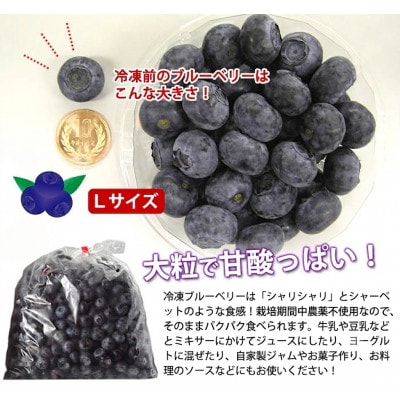 遠野で育った 大粒 冷凍 ブルーベリー Lサイズ 1kg