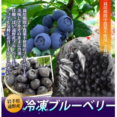 遠野で育った 大粒 冷凍 ブルーベリー Lサイズ 1kg