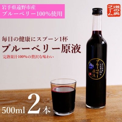 【栽培期間中農薬不使用】遠野のブルーベリーから絞った原液2本セット