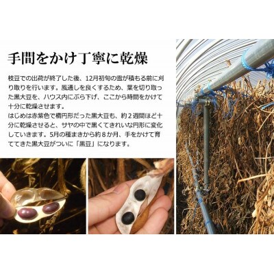 黒豆茶2袋セット(合計5g×60包)