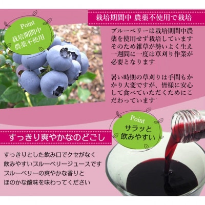 【栽培期間中農薬不使用】遠野のブルーベリーから絞った原液 180ml×2本セット 道の奥ファーム