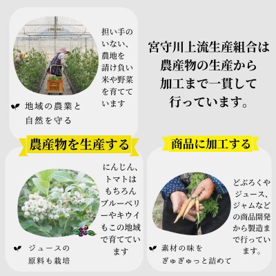 遠野どぶろく辛口・甘口12本セット【岩手県遠野市から】 / 宮守川上流生産組合