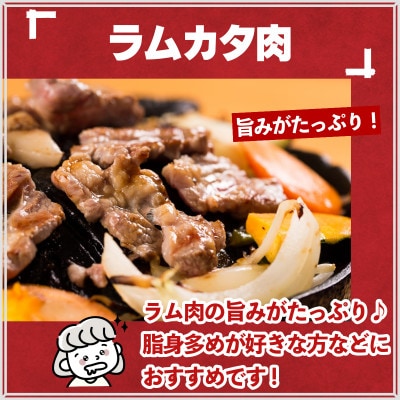 秘伝のタレ漬け熟成ジンギスカン(ラムカタ)120g×5袋 冷凍