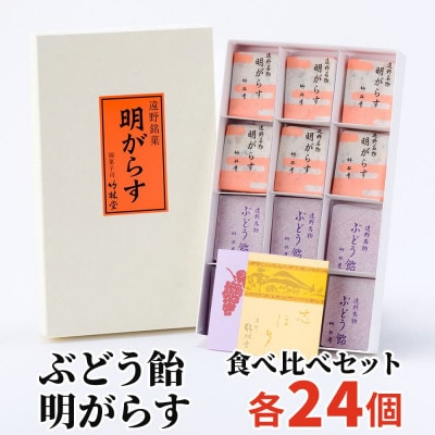 明がらす・ぶどう飴 各24個(計48個)食べ比べセット 岩手県遠野市 竹林堂