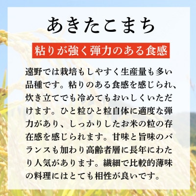 無洗米 あきたこまち 300g(2合)×10個 真空パック セット 合計3kg 令和7年産