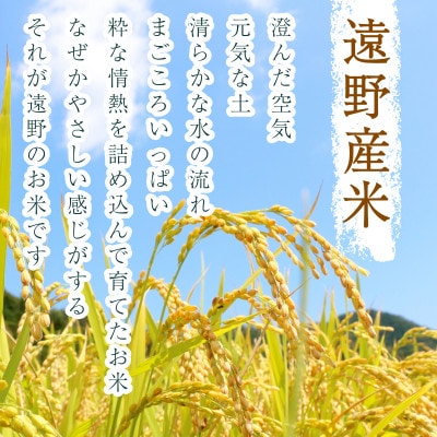 【毎月定期便】遠野産 あきたこまち 精米 河判 5kg全6回