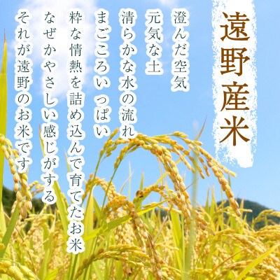 【毎月定期便】<無洗米>岩手県 遠野市産 あきたこまち 10kg 【 コメマルシェ 河判 】全6回