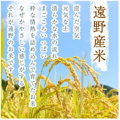 【毎月定期便】無洗米 岩手県 遠野市産 ひとめぼれ 5kg 【 コメマルシェ 河判 】全3回
