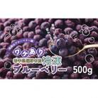 訳あり 冷凍 ブルーベリー 500g 岩手県遠野市 遠野食工房蔵