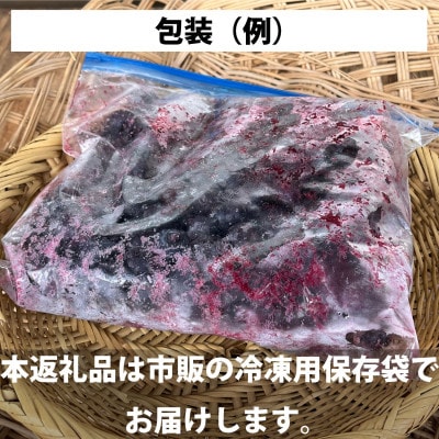 訳あり 冷凍 ブルーベリー 500g 岩手県遠野市 遠野食工房蔵