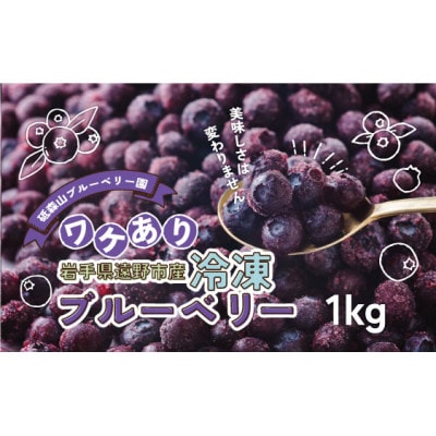 訳あり 冷凍 ブルーベリー 1kg 岩手県遠野市 遠野食工房蔵