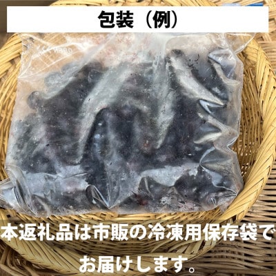 大粒 冷凍 ブルーベリー 500g 岩手県遠野市 遠野食工房蔵
