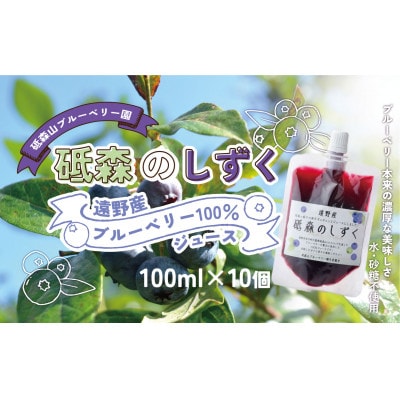 砥森のしずく ブルーベリージュース 果汁100% 100ml×10個 岩手県遠野市 遠野食工房