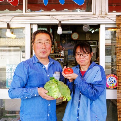 遠野 ふるさと 野菜便《野菜ソムリエ 厳選》/ 岩手県 遠野市産 野菜セット詰め合わせ