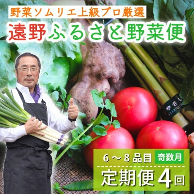 【発送月固定定期便】遠野ふるさと野菜便 野菜ソムリエ 厳選 詰め合わせセット 岩手県遠野市 全4回