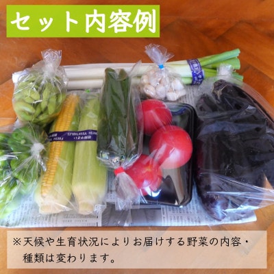 【発送月固定定期便】遠野ふるさと野菜便 野菜ソムリエ 厳選 詰め合わせセット 岩手県遠野市 全4回