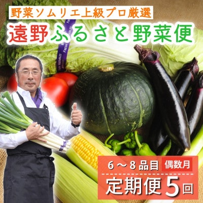 【発送月固定定期便】遠野ふるさと野菜便 野菜ソムリエ 厳選 詰め合わせセット 岩手県遠野市 全5回