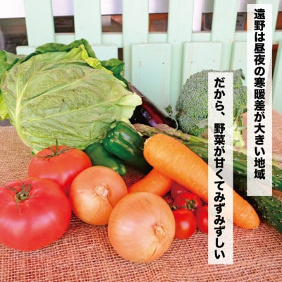 【発送月固定定期便】遠野ふるさと野菜便 野菜ソムリエ 厳選 詰め合わせセット 岩手県遠野市 全5回