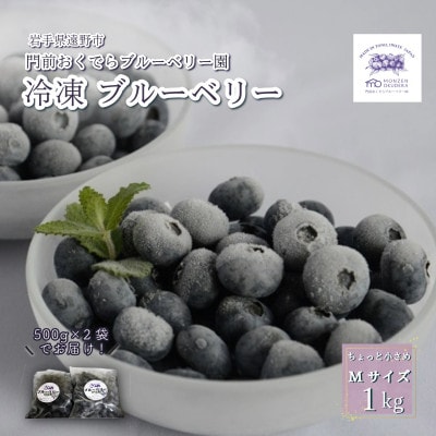 冷凍ブルーベリー ちょっと小さめ Mサイズ 1kg (500g×2個) 門前おくでらブルーベリー園