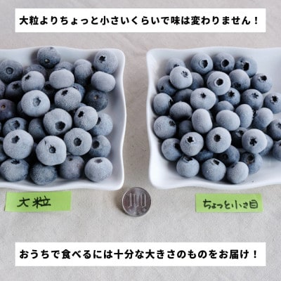 冷凍ブルーベリー ちょっと小さめ Mサイズ 1kg (500g×2個) 門前おくでらブルーベリー園