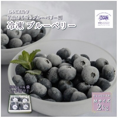 冷凍ブルーベリー ちょっと小さめ Mサイズ 2kg (500g×4個) 門前おくでらブルーベリー園