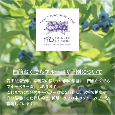 そのままブルーベリー プレミアム「Rubel」100g×3個セット