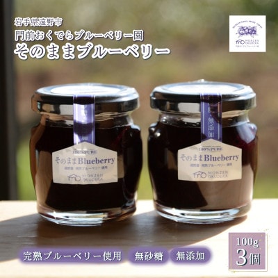濃縮ジャムタイプ「そのままブルーベリー」100g×3本　門前おくでらブルーベリー園