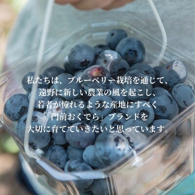 濃縮ジャムタイプ「そのままブルーベリー」100g×3本　門前おくでらブルーベリー園