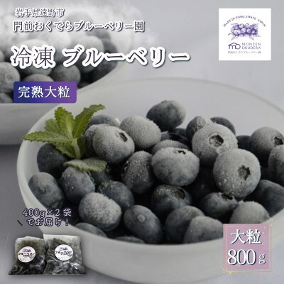 冷凍ブルーベリー 大粒 合計800g(400gパック2個入り) 門前おくでらブルーベリー園