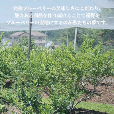 冷凍ブルーベリー 大粒 合計800g(400gパック2個入り) 門前おくでらブルーベリー園