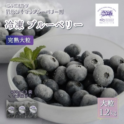 冷凍ブルーベリー 大粒 1.2kg (400gパック3個入り) 門前おくでらブルーベリー園