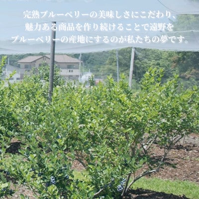 冷凍ブルーベリー 大粒 1.2kg (400gパック3個入り) 門前おくでらブルーベリー園