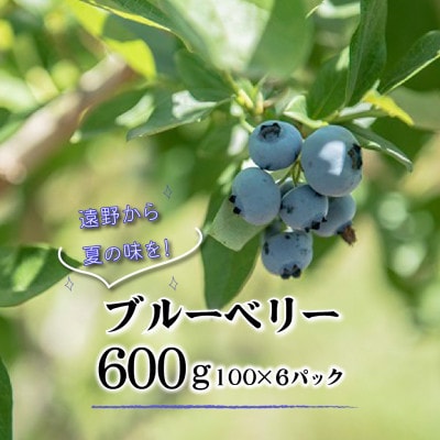 ブルーベリー 生 大粒 完熟 600g 化粧箱入 岩手県 遠野市 門前おくでらブルーベリー園