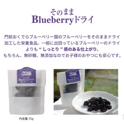 【贈答用】ブルーベリー ギフト 2種 詰め合わせセット 岩手県遠野市 門前おくでらブルーベリー園