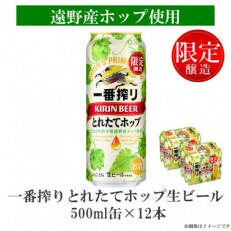 キリン 一番搾り とれたてホップ 生ビール 2023 500ml×12本 遠野産ホップ使用