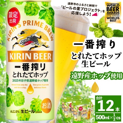 キリン 一番搾り とれたてホップ 生ビール 500ml×12本 1ケース 遠野市 産 ホップ 使用
