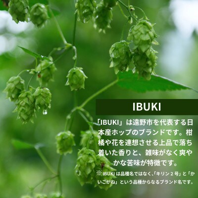 いわて蔵ビール フレッシュホップゴールデンエール 6本 クラフトビール 遠野産ホップIBUKI使用