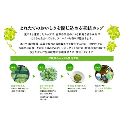 【毎月定期便】キリン 一番搾り とれたてホップ 生ビール 2023 350ml×24本全3回