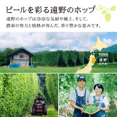 【毎月定期便】キリン 一番搾り とれたてホップ 生ビール 350ml×24本 1ケース全6回