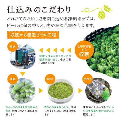 【毎月定期便】キリン 一番搾り とれたてホップ 生ビール 350ml×24本 1ケース全6回