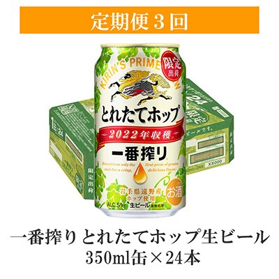 2023年2月発送開始『定期便』一番搾りとれたてホップ生ビール 350ml×24本 全3回