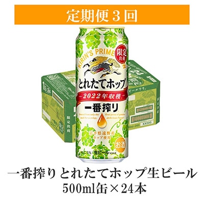2023年2月発送開始『定期便』一番搾りとれたてホップ生ビール 500ml×24 全3回