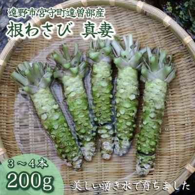 【生産者直送】宮守特産わさび(生) 200g(3～4本)