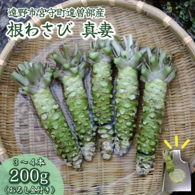 【生産者直送】宮守特産わさび 真妻(生) 200g(3～4本)【わさび用おろし金付き】