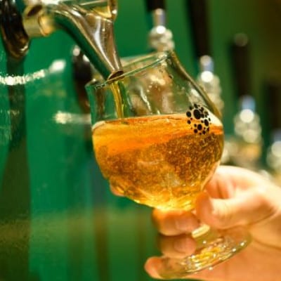 【クラフトビール】遠野醸造 缶ビール 4種 4本 + ロゴ入り チューリップ グラス 1個 セット