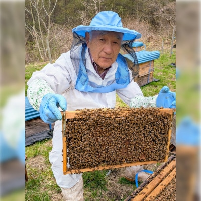 アカシア / とち蜜 蜂蜜 300g 2本 卓上ボトル 岩手県 遠野産 馬場光男