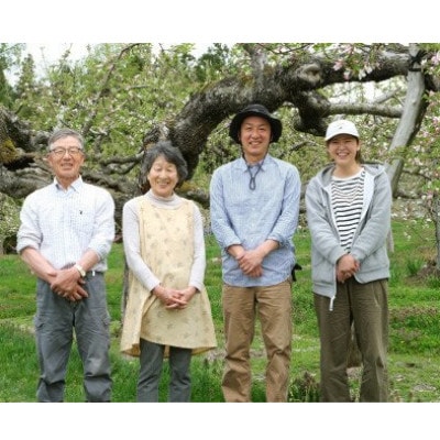 松陽園の樹上 完熟 りんご ジョナゴールド 3kg 岩手県 遠野市 産 先行予約 農家直送